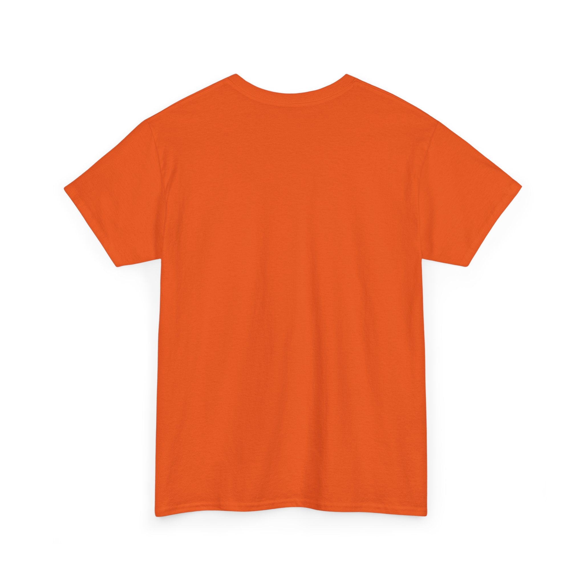 Release The Epstein Files T‑Shirt — Confidential Files Graphic Tee